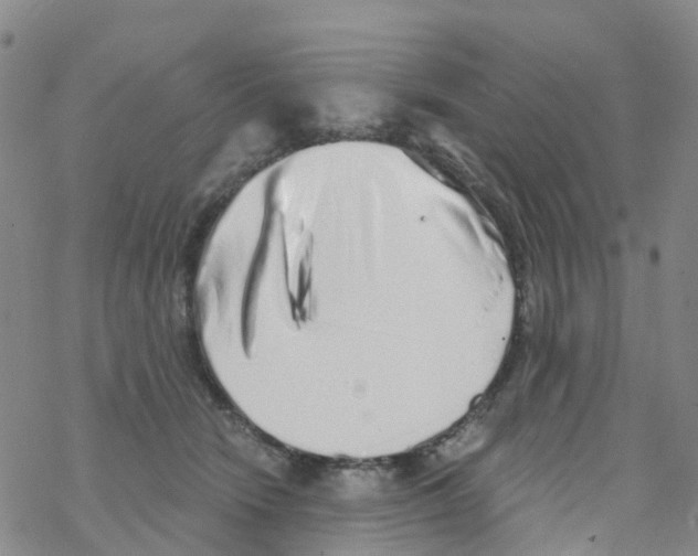 X0000068720466200605262005