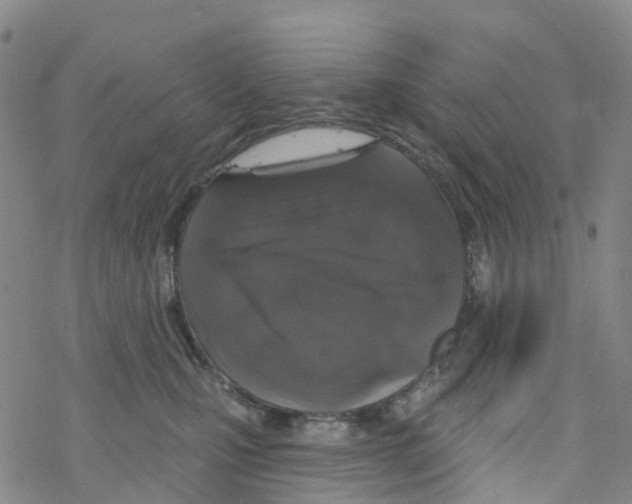 X0000068720471200605262005