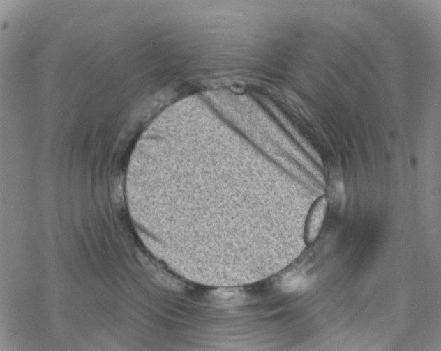 X0000068720477200605262005