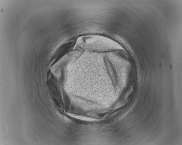 X0000068720481200605262004