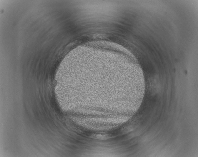 X0000068720506200605262004