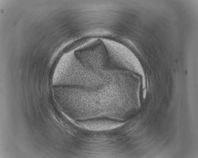 X0000068720531200605262003