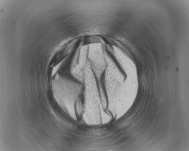 X0000068720540200605262003