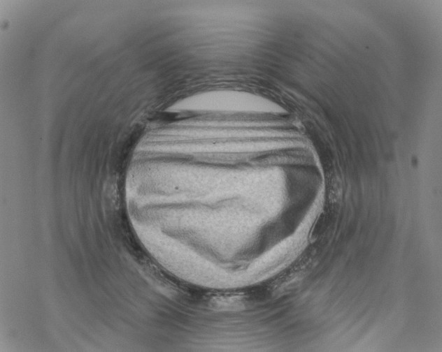 X0000068720560200605262003