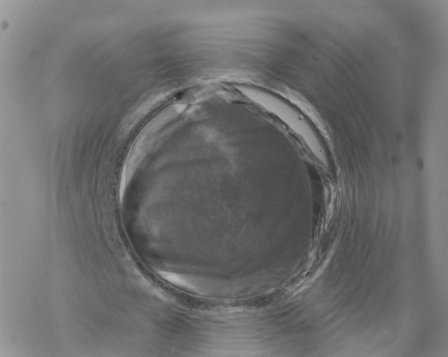 X0000068720577200605262003