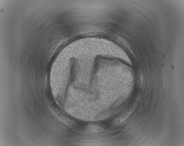 X0000068720596200605262003