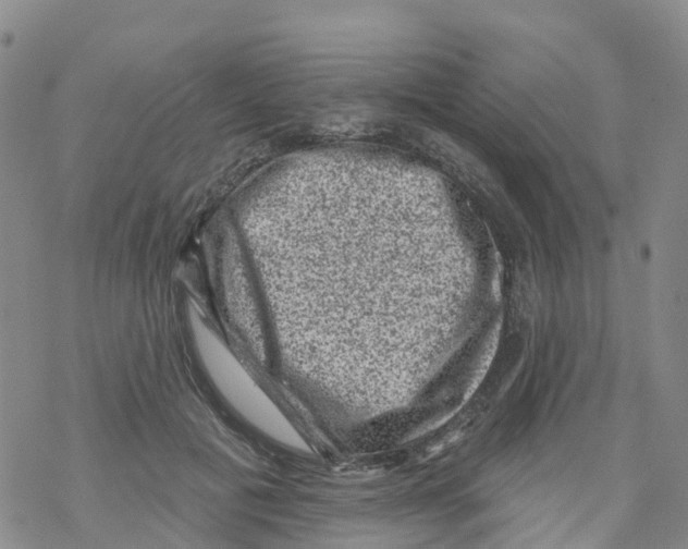 X0000068720601200605262002