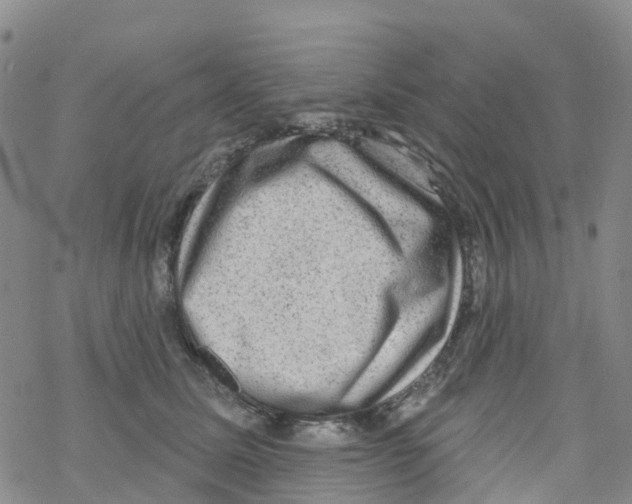 X0000068720611200605262002