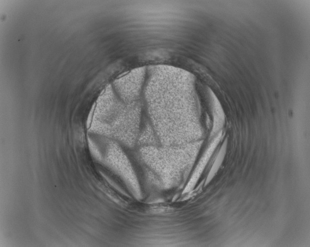 X0000068720617200605262002