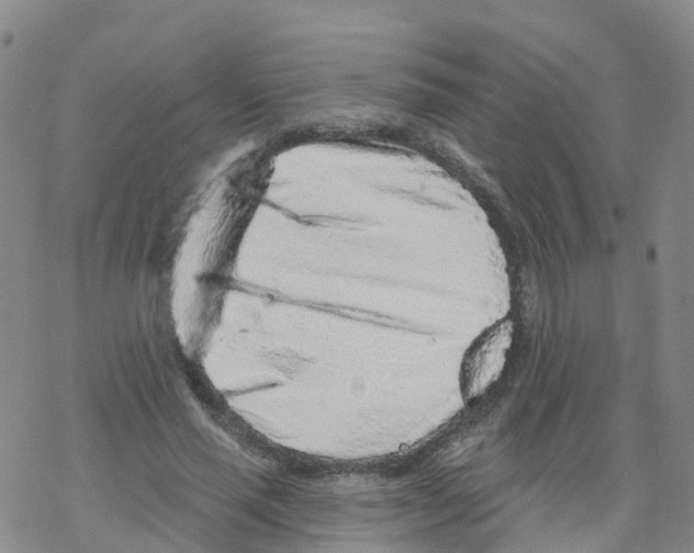 X0000068720637200605262002