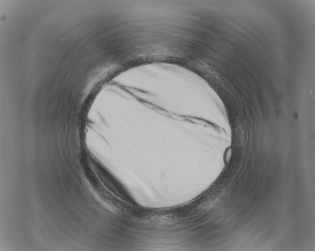 X0000068720638200605262002