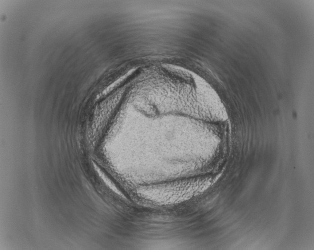 X0000068720643200605262002