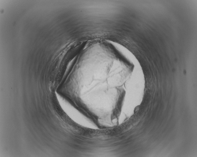 X0000068720648200605262002