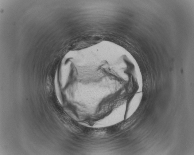X0000068720651200605262002