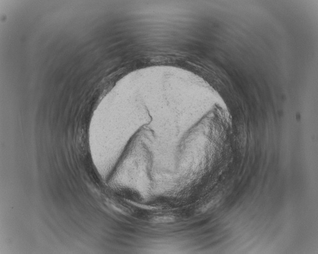 X0000068720653200605262002