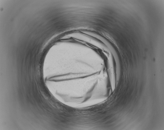 X0000068720676200605262001