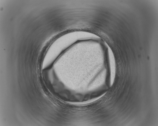 X0000068720680200605262001