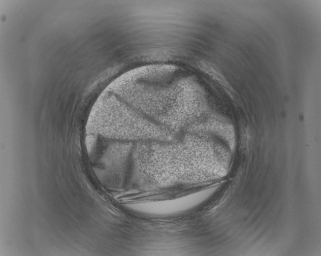 X0000068720681200605262001