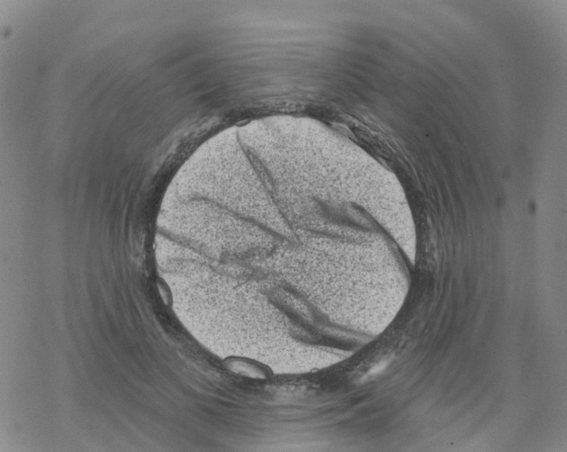 X0000068720693200605262001