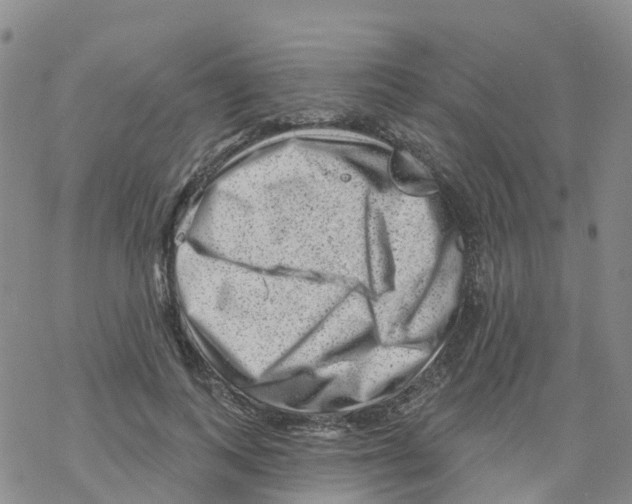 X0000068720743200605262000