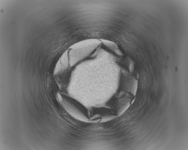 X0000068720747200605262000
