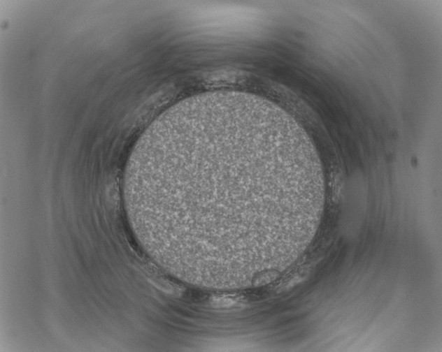X0000068720753200605262000