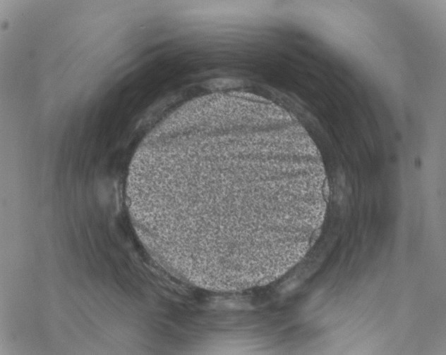 X0000068720763200605262000