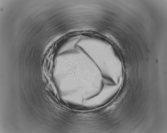 X0000068720781200605262000