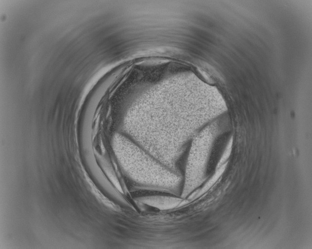 X0000068720792200605261959
