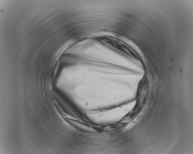 X0000068720809200605261959