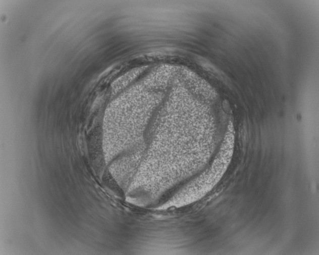 X0000068720822200605261958