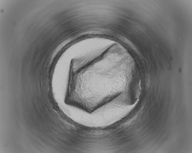 X0000068720829200605261958