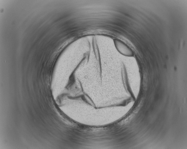 X0000068720849200605261959