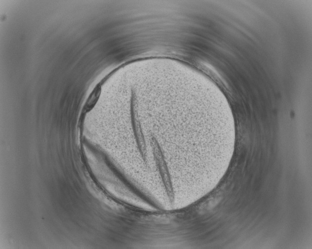 X0000068720900200605261958