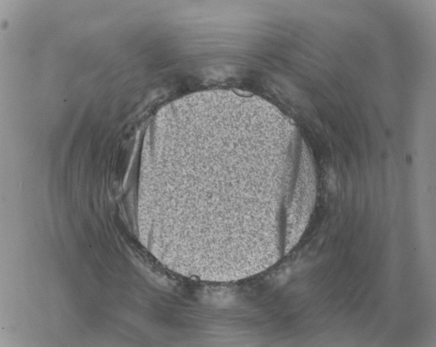 X0000068720914200605261957