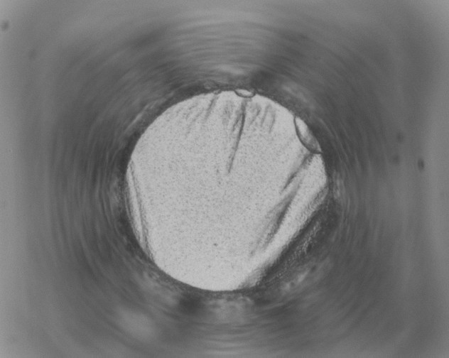 X0000068720915200605261957