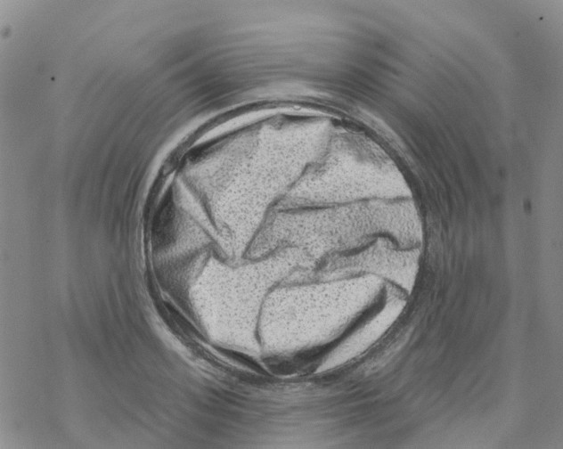 X0000068720939200605261957