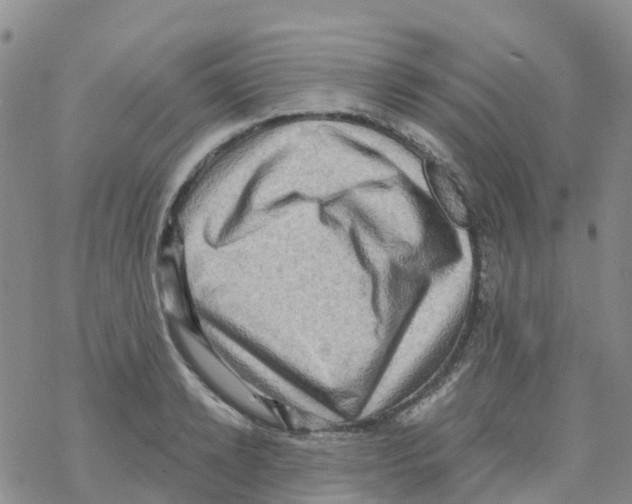 X0000068720942200605261957