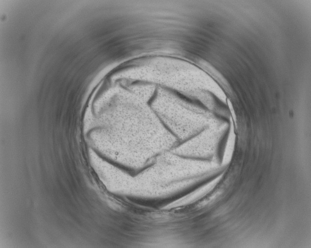 X0000068720956200605261957