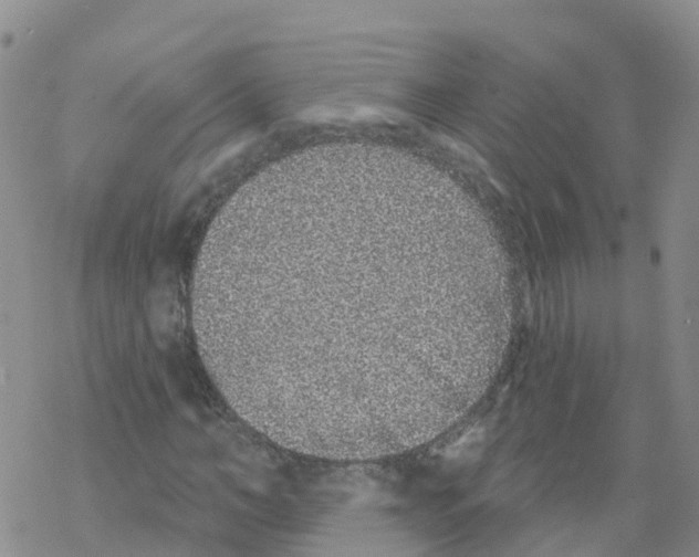 X0000068720966200605261957