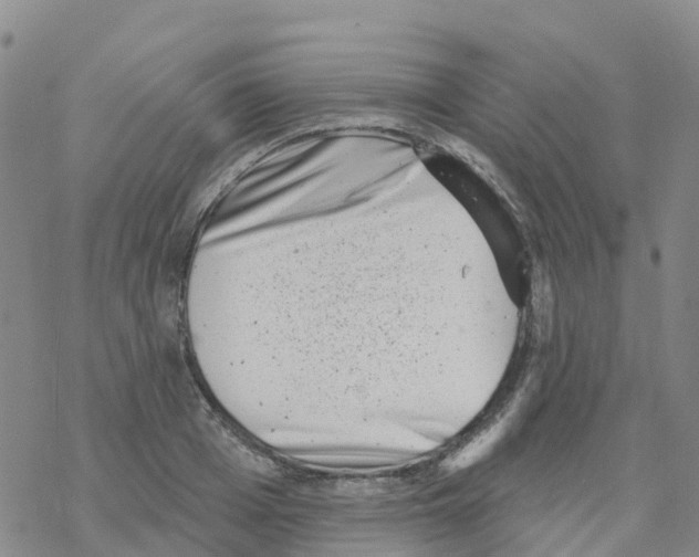 X0000068720985200605261956