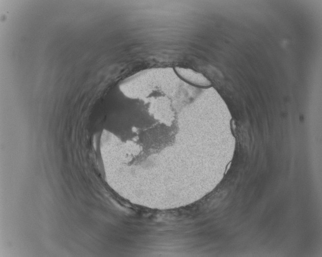 X0000068721009200605261955