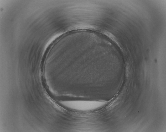X0000068721024200605261955