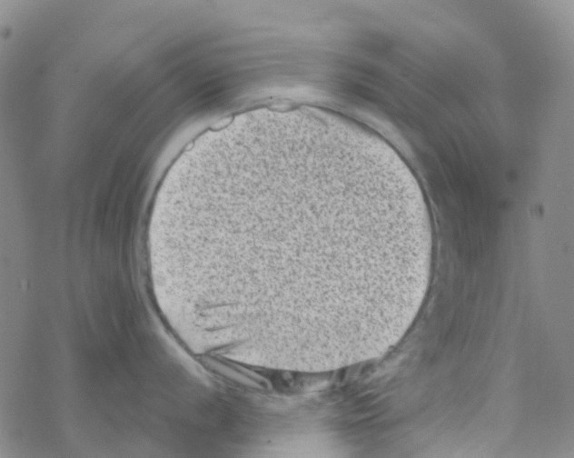 X0000068721056200605261956