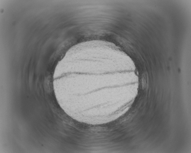 X0000068721059200605261955