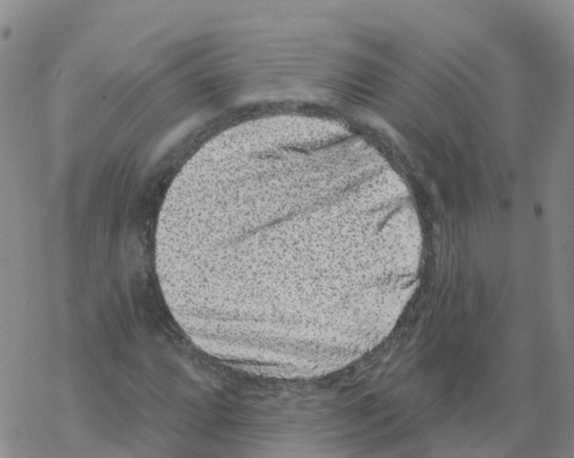 X0000068721064200605261955