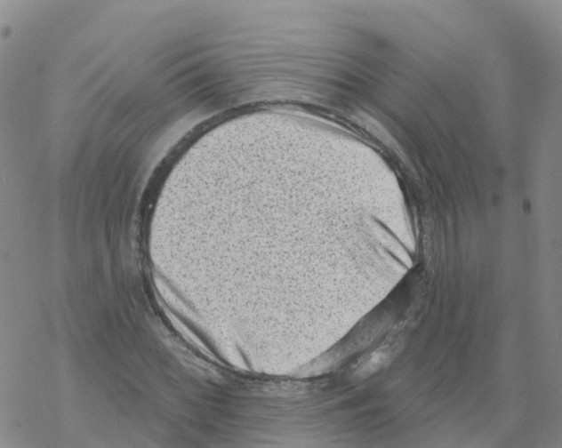 X0000068721068200605261955