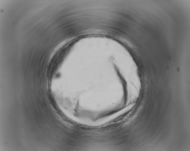 X0000068721125200605261954