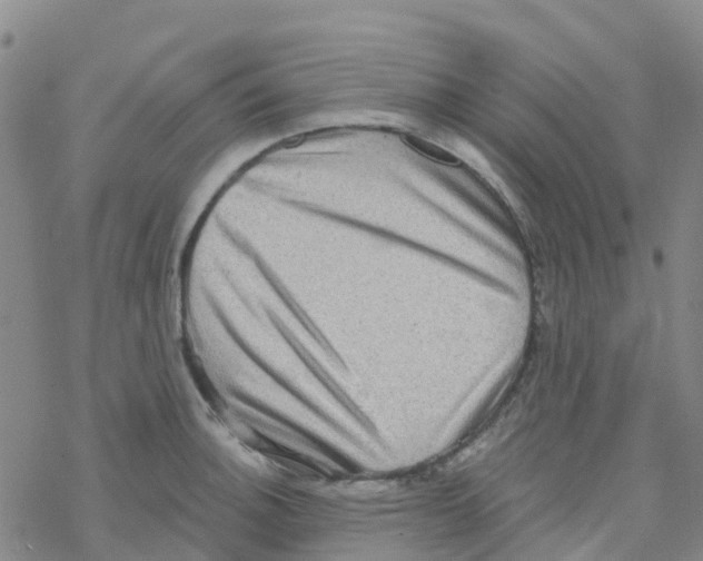 X0000068721140200605261954