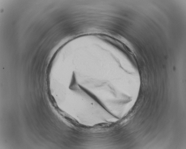 X0000068721142200605261954